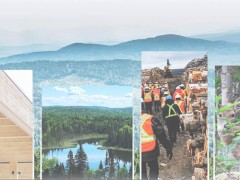 FORÊT - PAFIT 2025-2030