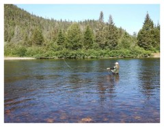 Zec des Rivières Godbout et Mistassini