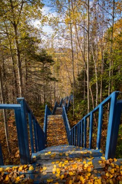Sentier de la croix