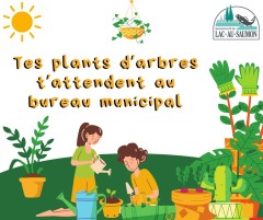 DISTRIBUTION D'ARBRES