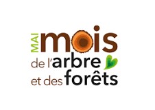 1. Distribution d'arbres gratuit