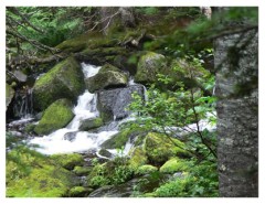 Parc national de la Gaspésie