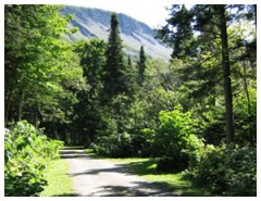 Camping municipal de Mont-Saint-Pierre