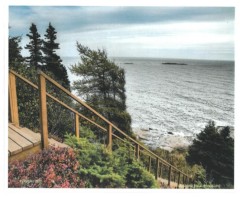 La Caille aux phoques