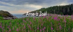 Anse à Zoël