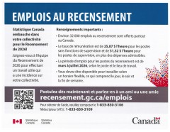 EMPLOIS AU RECENSEMENT