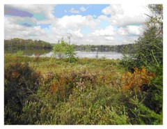 Sentier écologique près du Lac Rose