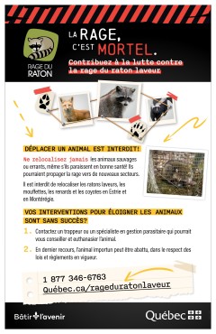 Déplacer un animal sauvage est interdit!