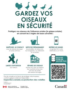 Avis de vigilance, grippe aviaire