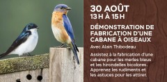 Démonstration de fabrication d'une cabane à oiseaux au Parc des Chutes