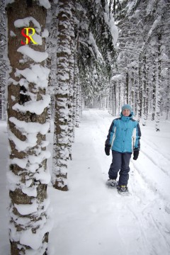 Pistes de ski de fond