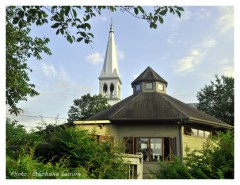 La Maison de l’arbre